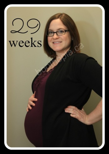 Baby Update – 29 Weeks!