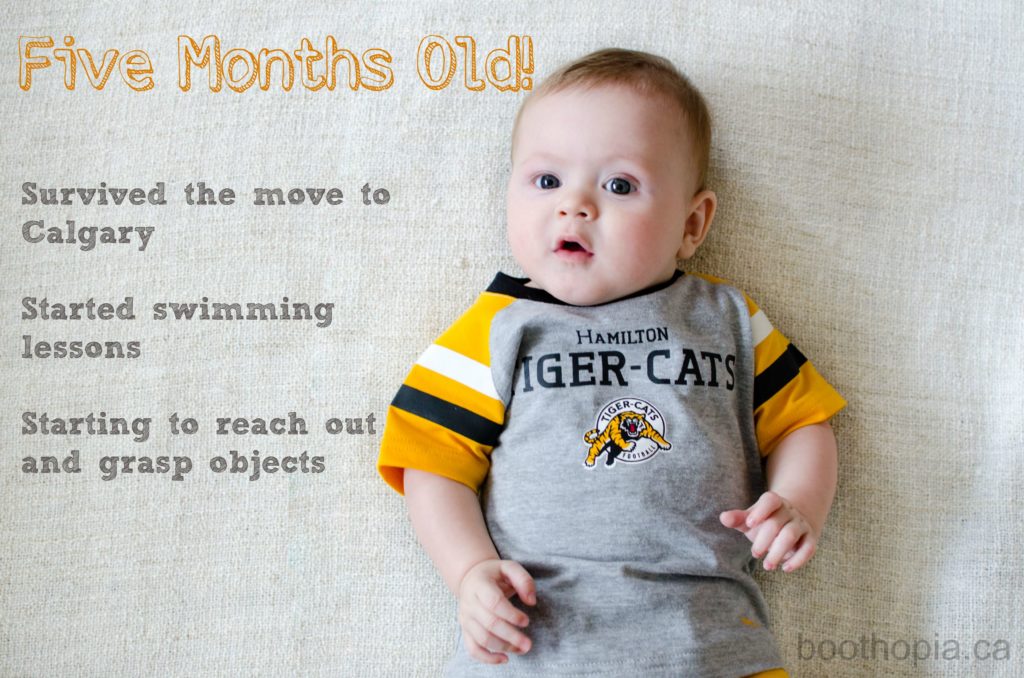 5 month baby update